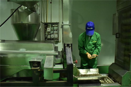 石油工人心向黨 服務人民辦實事——新材料技術研發助力能源產業高質量發展