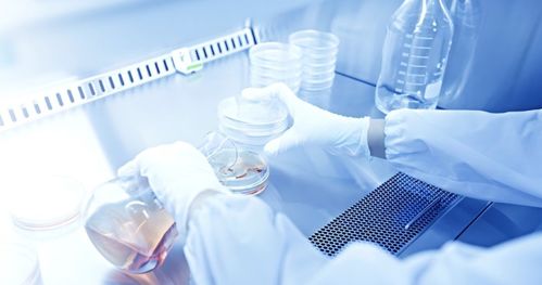 吉雷新材料 以“材”賦能，勇做新材料技術(shù)研發(fā)領(lǐng)域的創(chuàng)新者